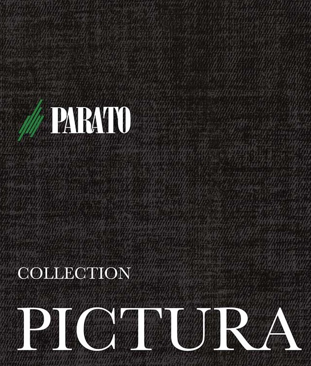 pictura-copertina